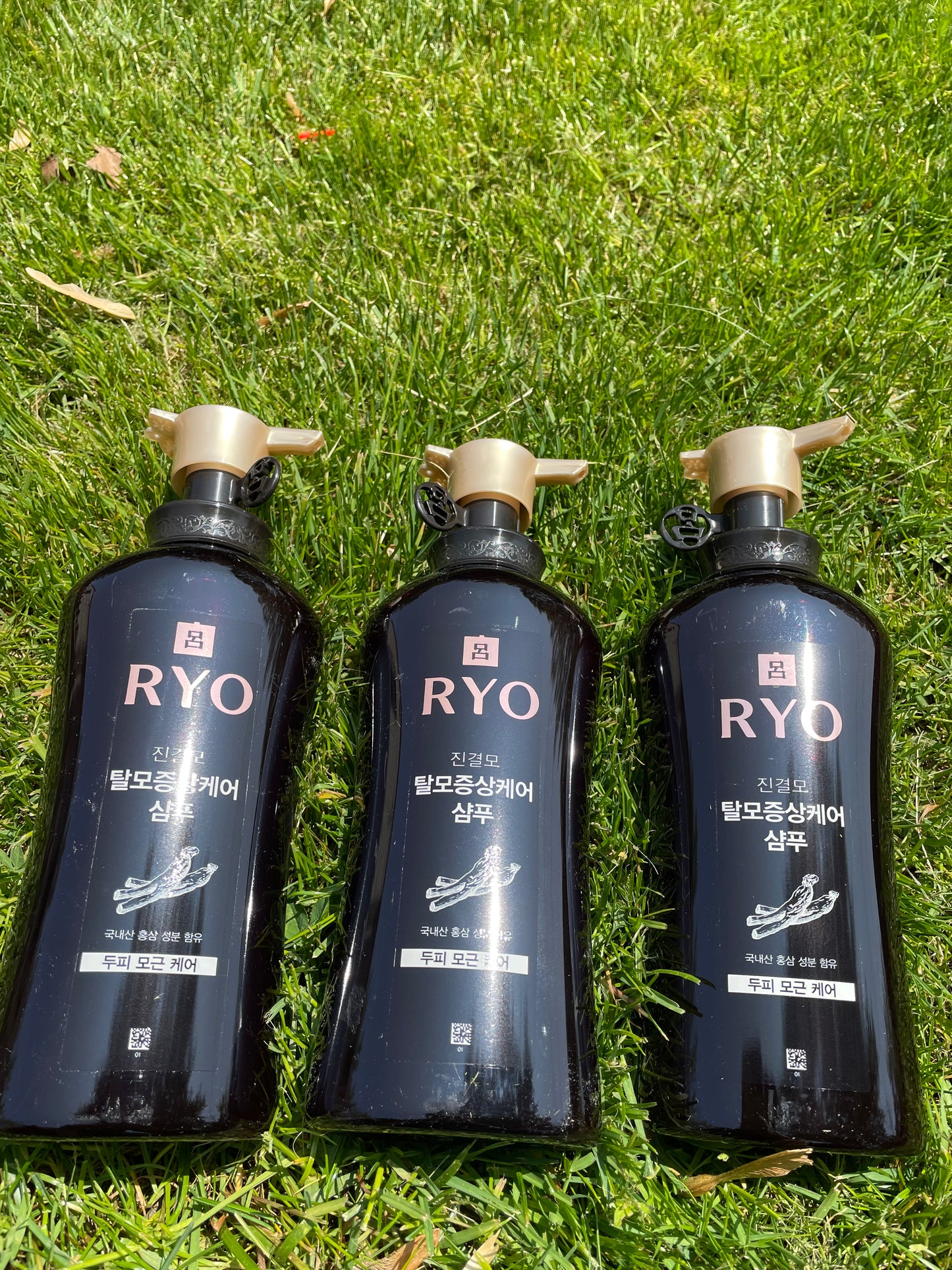 Set goi Ryo nhan sam