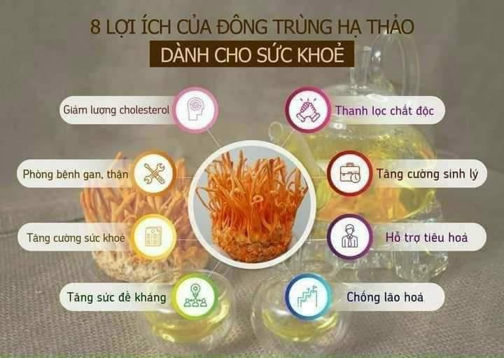 Nam dong trung ha thao