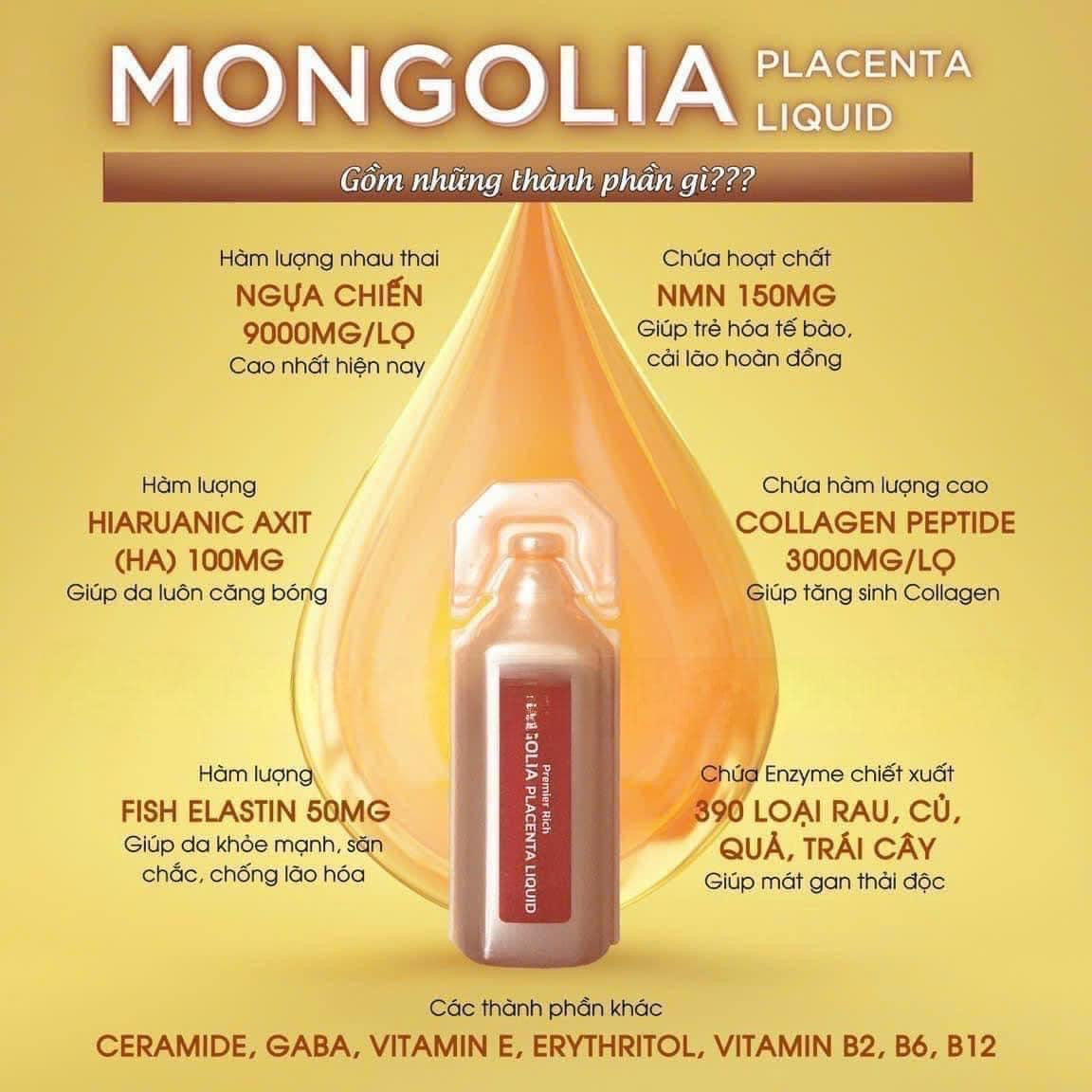 Mongolia nhau thai ngua chien