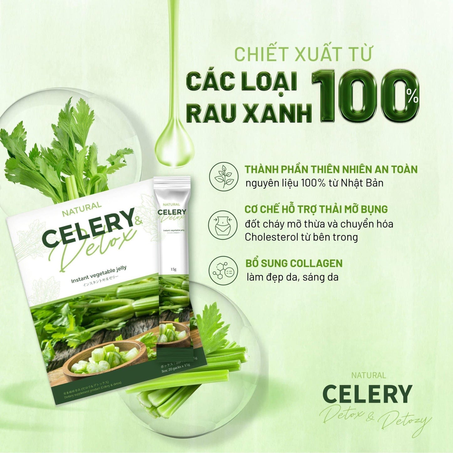 Thach can tay celery detox (20 goi)