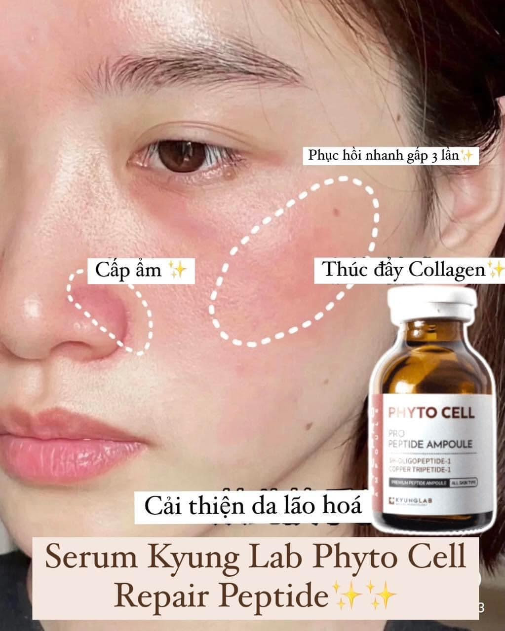 Kyunglab Phyto cell repair