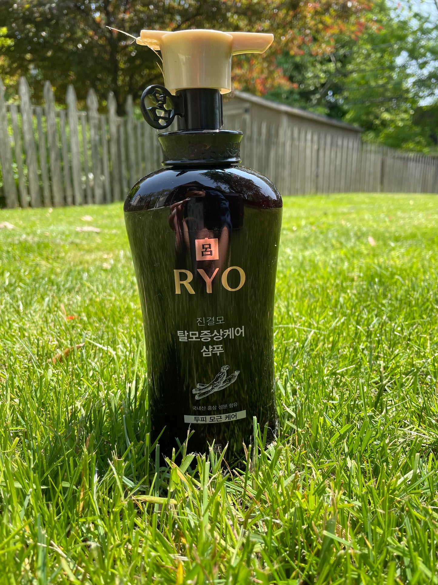 Set goi Ryo nhan sam