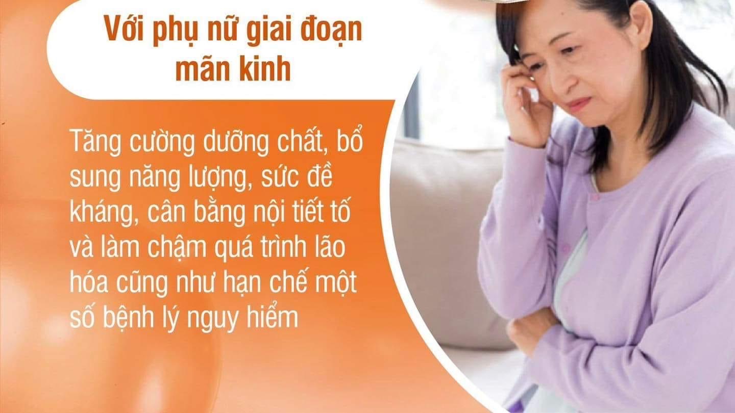 Nam dong trung ha thao