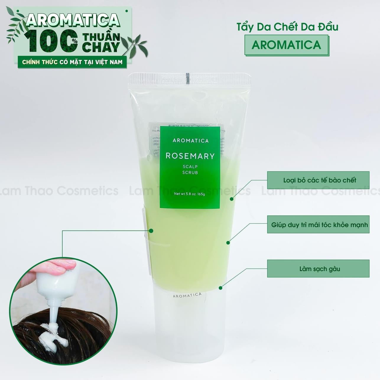 Tay da chet da dau Aromatica