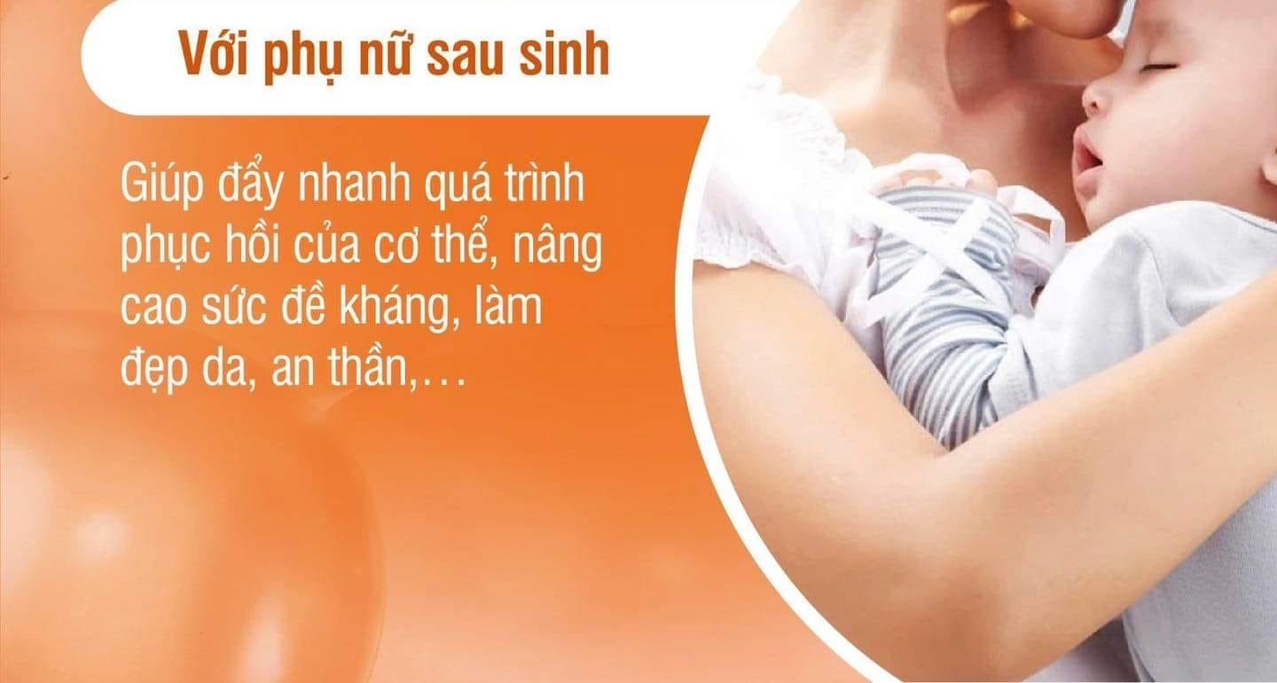 Nam dong trung ha thao
