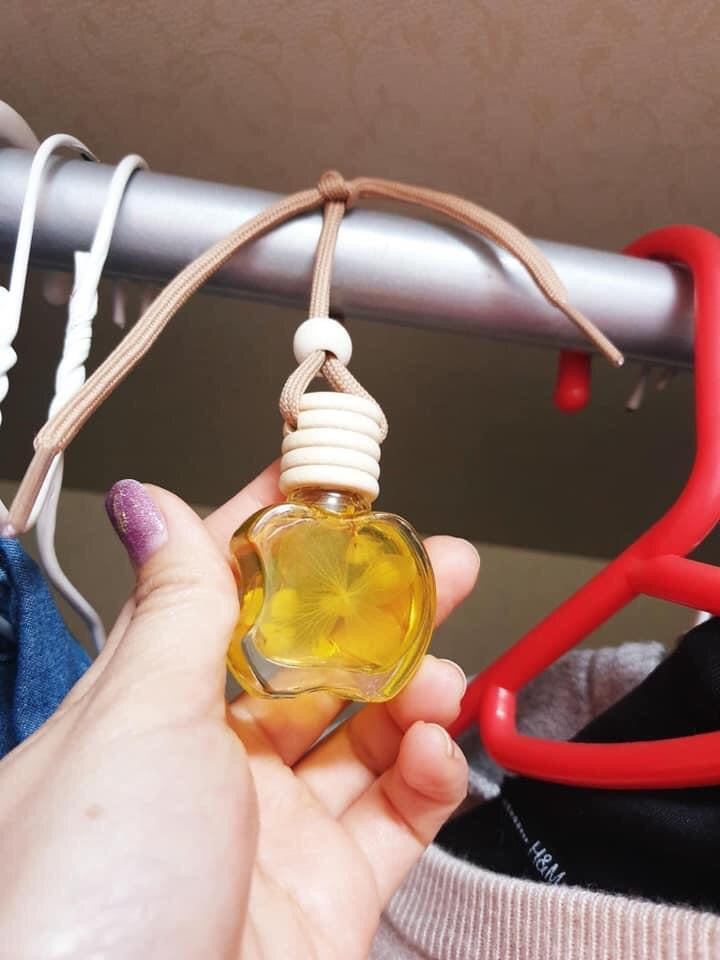 Nuoc hoa treo xe (3 lo)