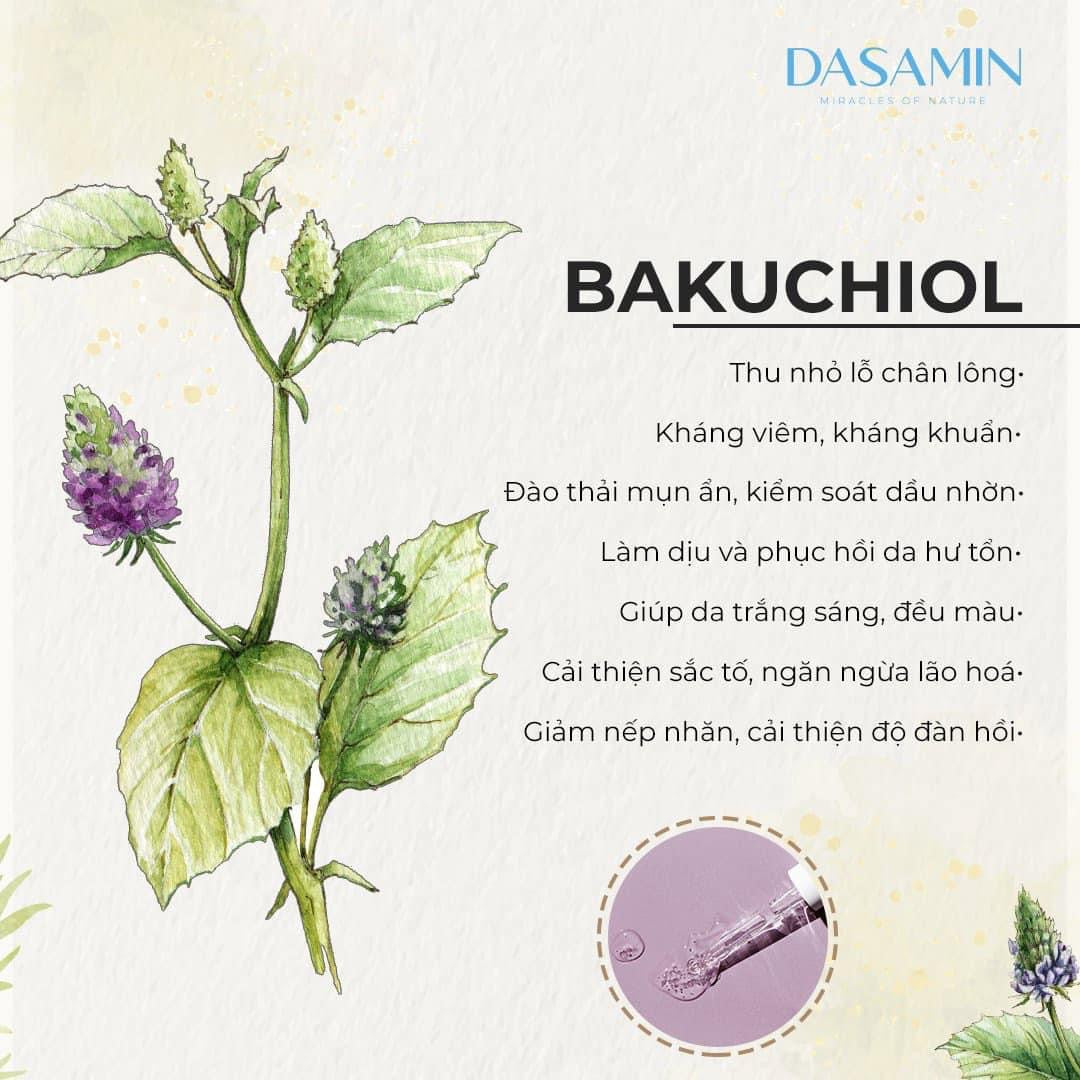 Mat na Dasamin (3m)