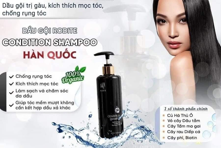 Dau goi Rodite ( chuyen toc gau ngua rung)
