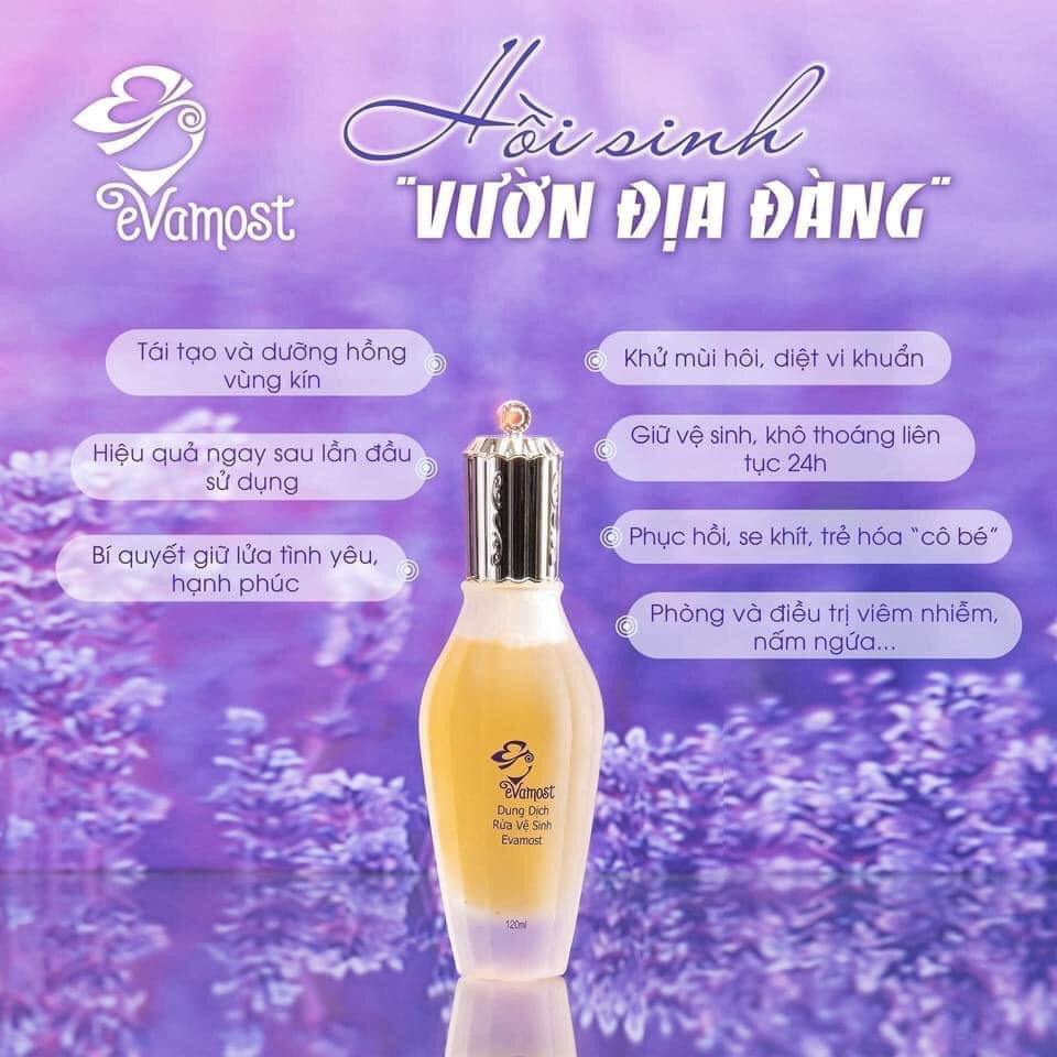 Ddvs Evamost vietnam