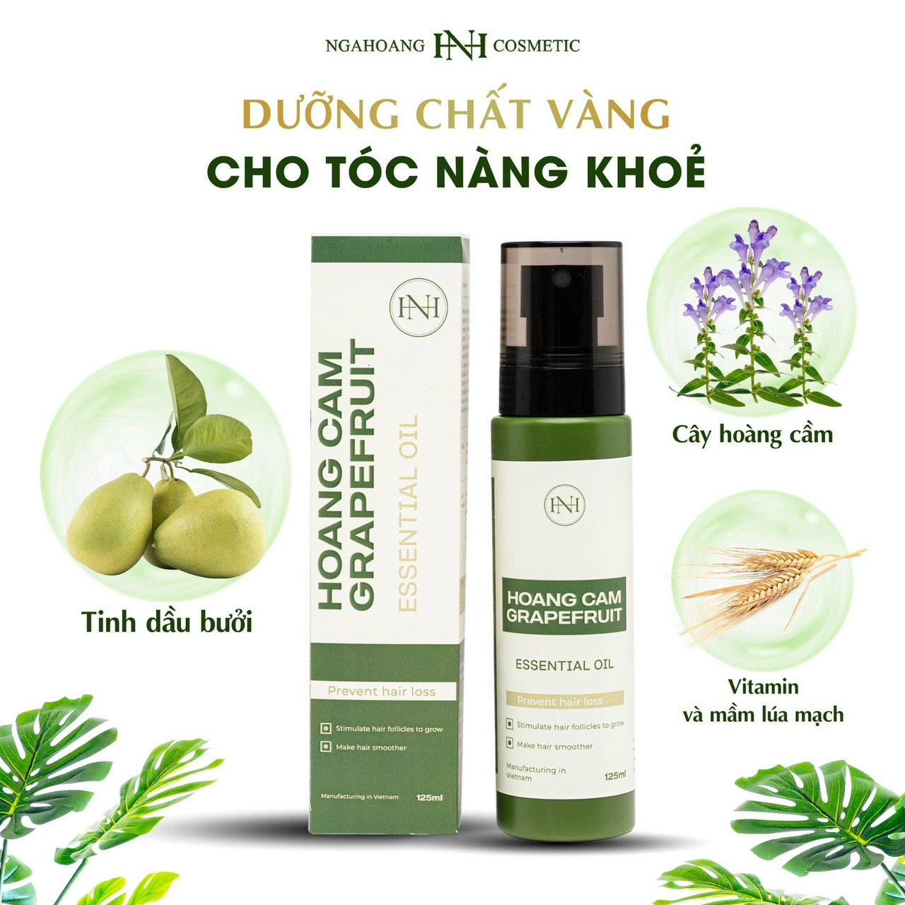 Xit tinh dau buoi Hoang cam Nga hoang vietnam