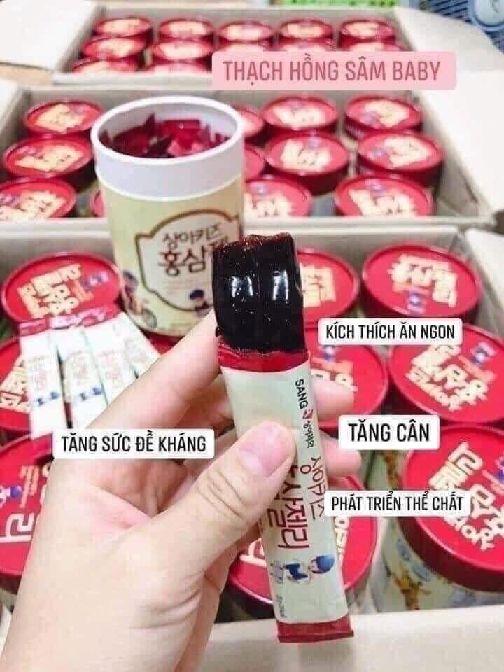 Thach hong sam baby Sanga (hop 30)