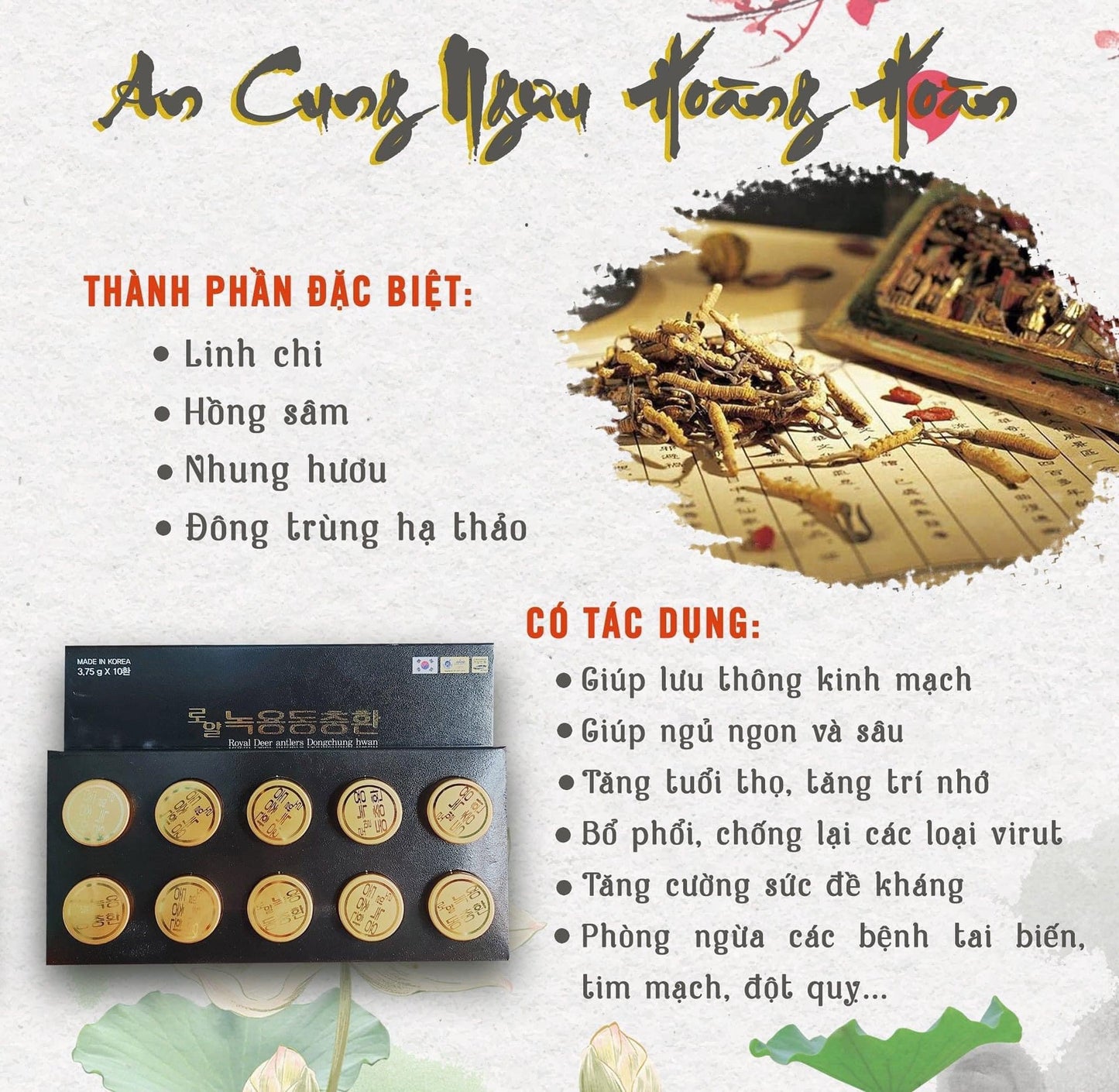 An cung dong trung ha thao (10 v)