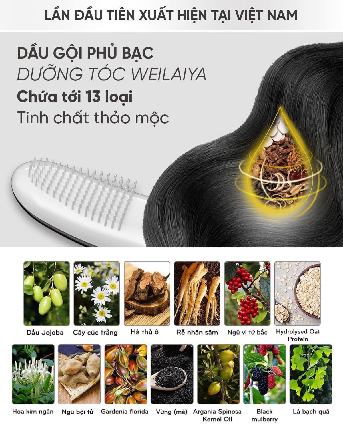Nhuom phu bac Weilaiya