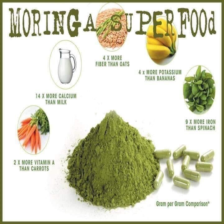 Thần dược moringa panacea