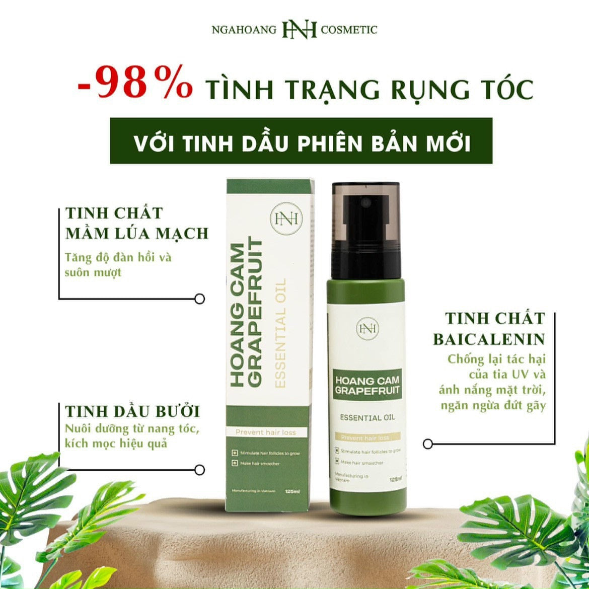 Xit tinh dau buoi Hoang cam Nga hoang vietnam