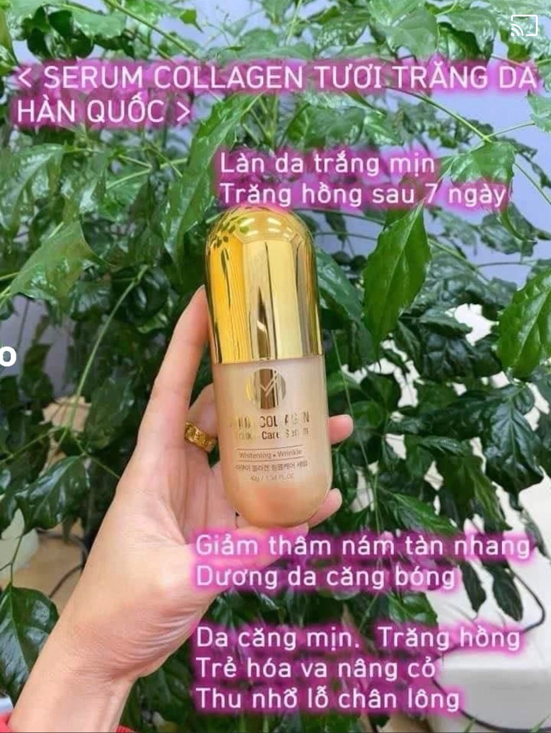 Serum collagen tuoi JM Aqua