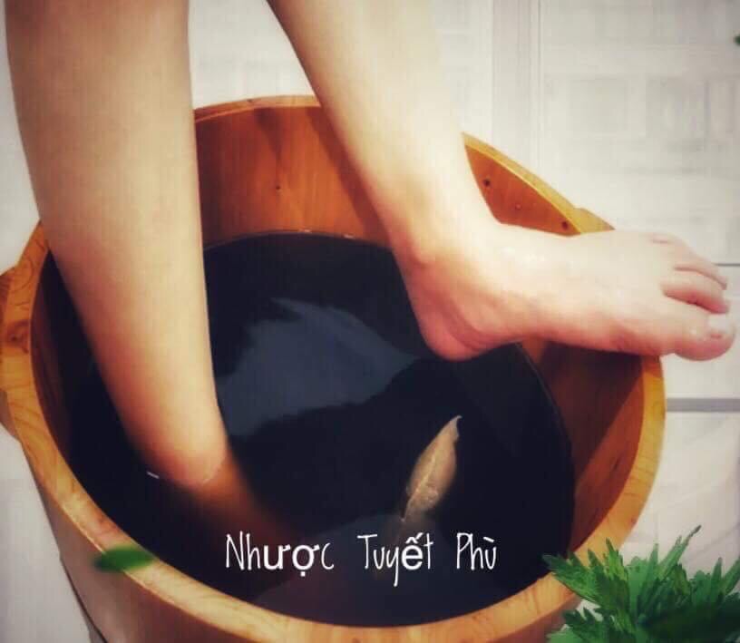 Ngam chan Nhuoc Tuyet Phu