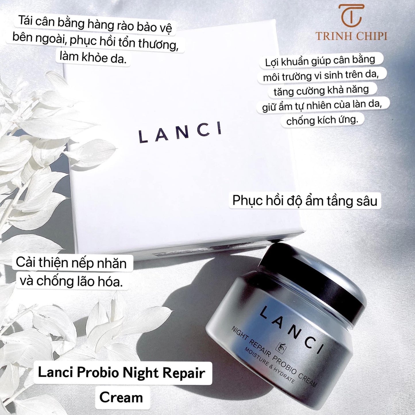 Lanci Night Repair cream