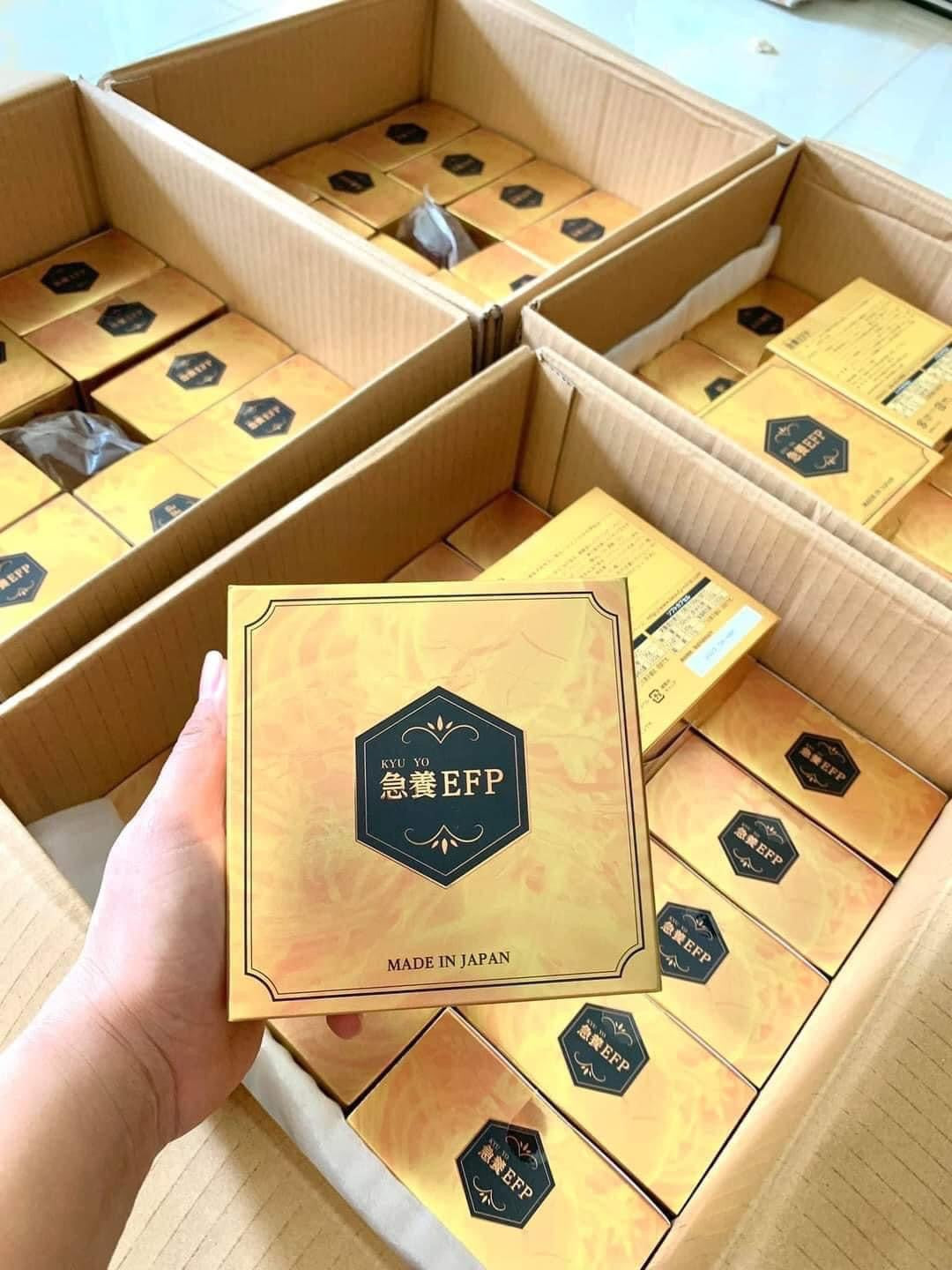 Thuoc bổ chong đot quy & nhoi mau co tim EFP japan