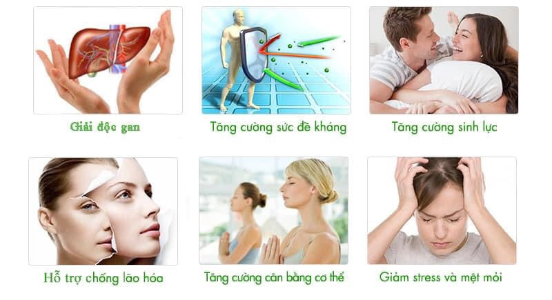 Nước uống bổ gan hovenia Hàn Quốc ( TW Hovenia Dulcis )