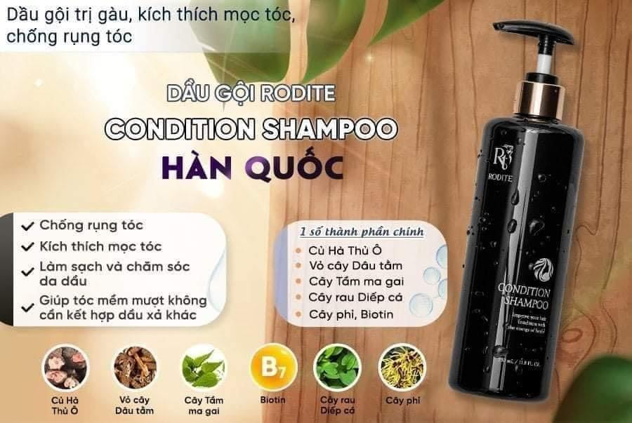 Dau goi Rodite ( chuyen toc gau ngua rung)