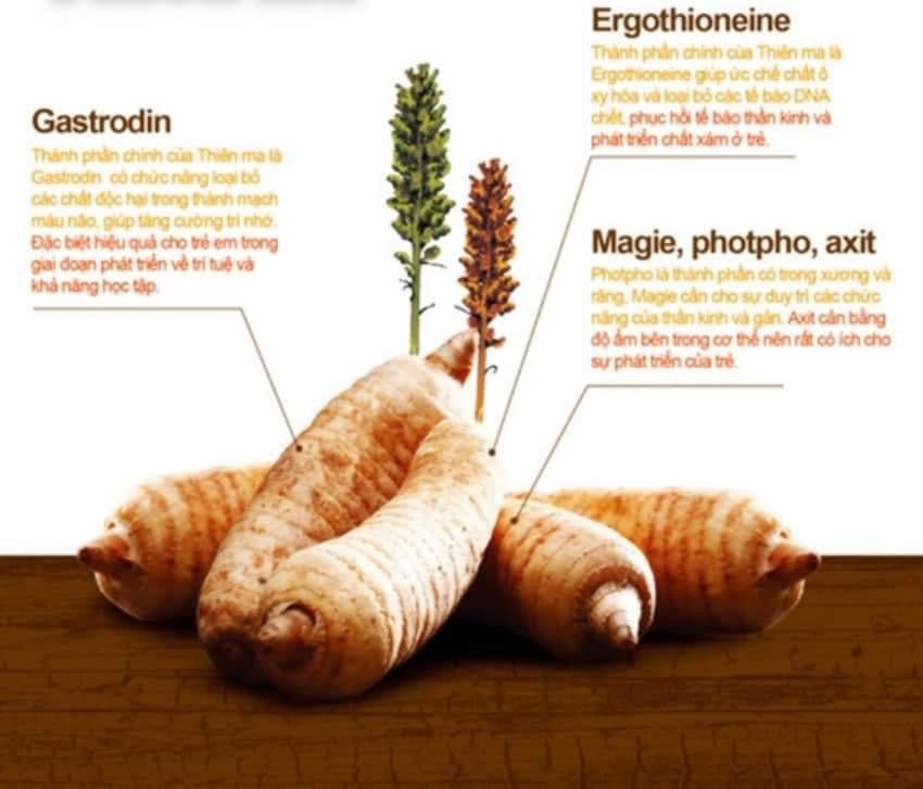 Bot ngu coc cu tu hanh nhan (50 gói)