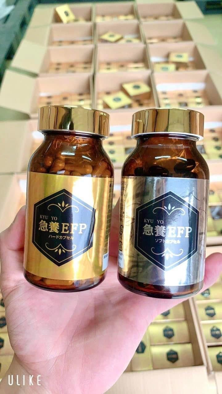 Thuoc bổ chong đot quy & nhoi mau co tim EFP japan