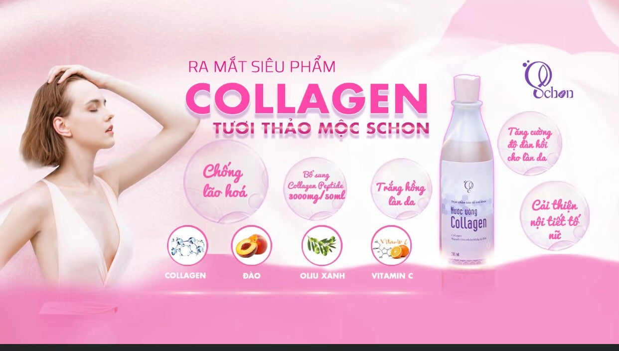 Collagen Schon ( vietnam )