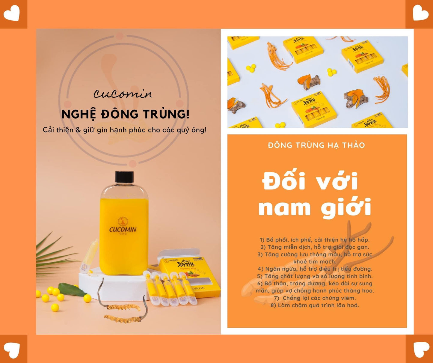 Nghe dong trung Cucomin (105 tep)