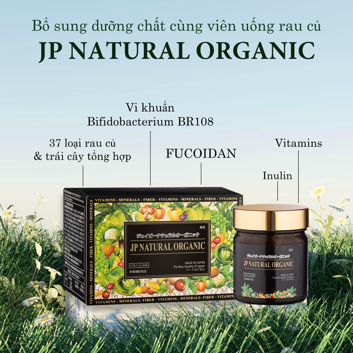 JP natural organic (120v)