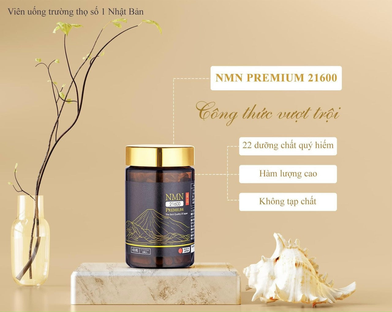 NMN 21600