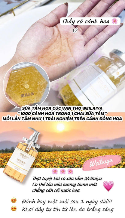 Tam Weilaiya hoa van tho Calendula