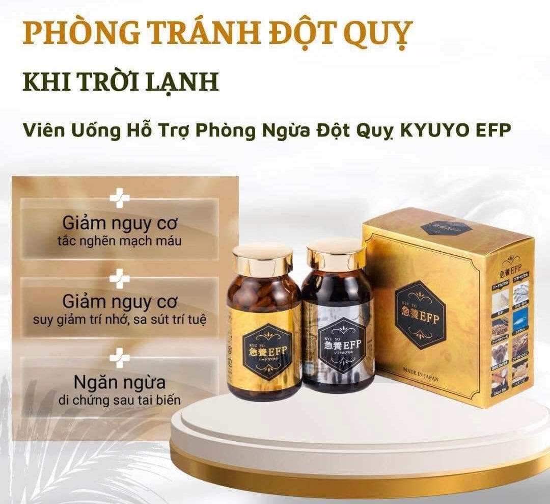 Thuoc bổ chong đot quy & nhoi mau co tim EFP japan