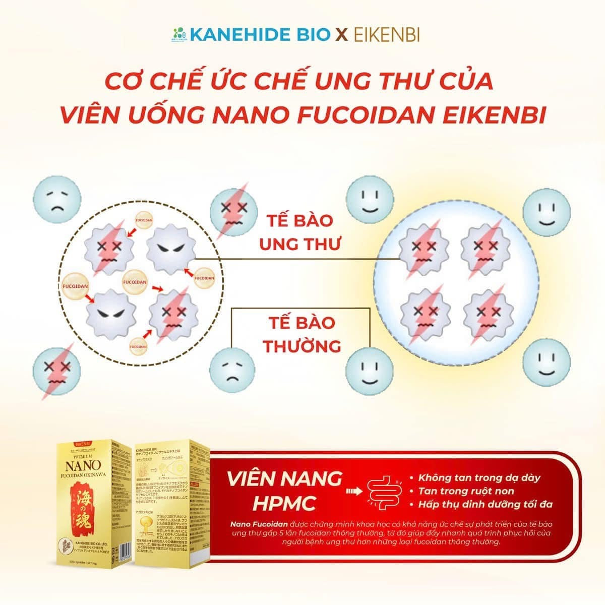 Thuoc ung thu nano fucoidan