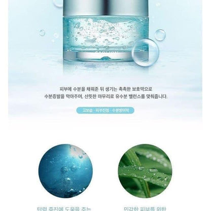 PEACH WATER Aqua Fresh Gel Day Cream - CAOLION