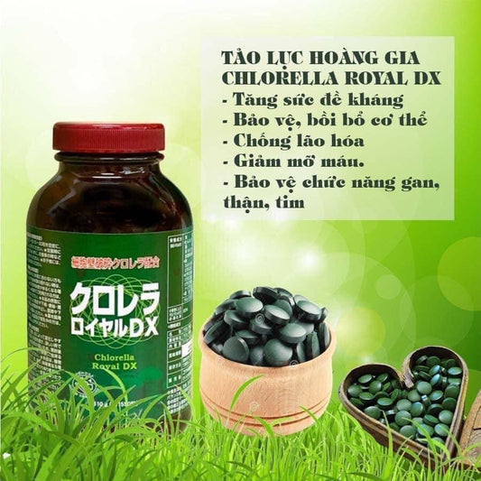 Tao luc gia Chlorella DX Royal