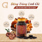 Dong trung linh chi (vietnam)