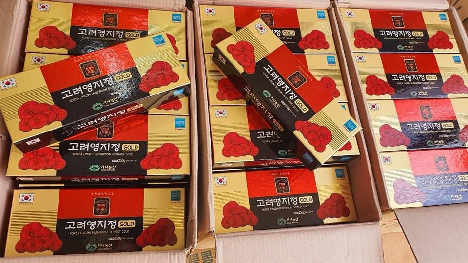 Cao linh chi korea lingzhi mushroom extract Gold