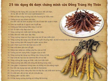 Dong Trung ha thao nguyen con Han Quoc